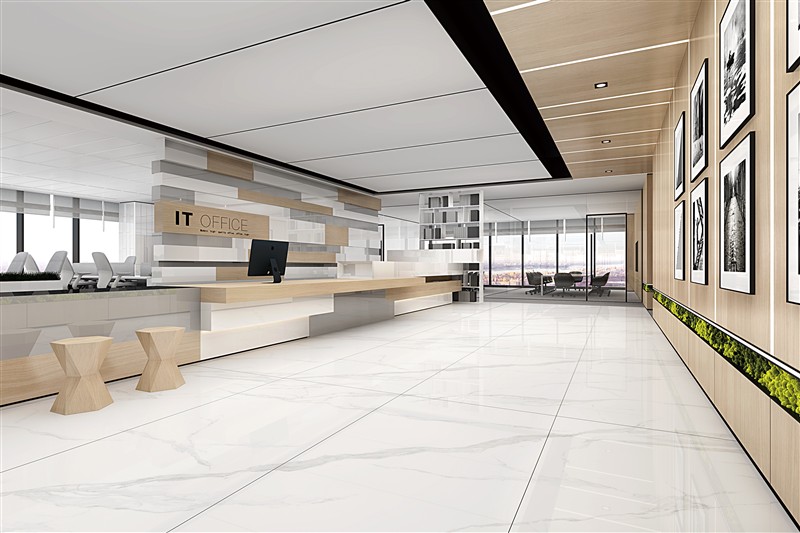 High - Aesthetic White Slab for Premium Home Decor TQ11-24M161