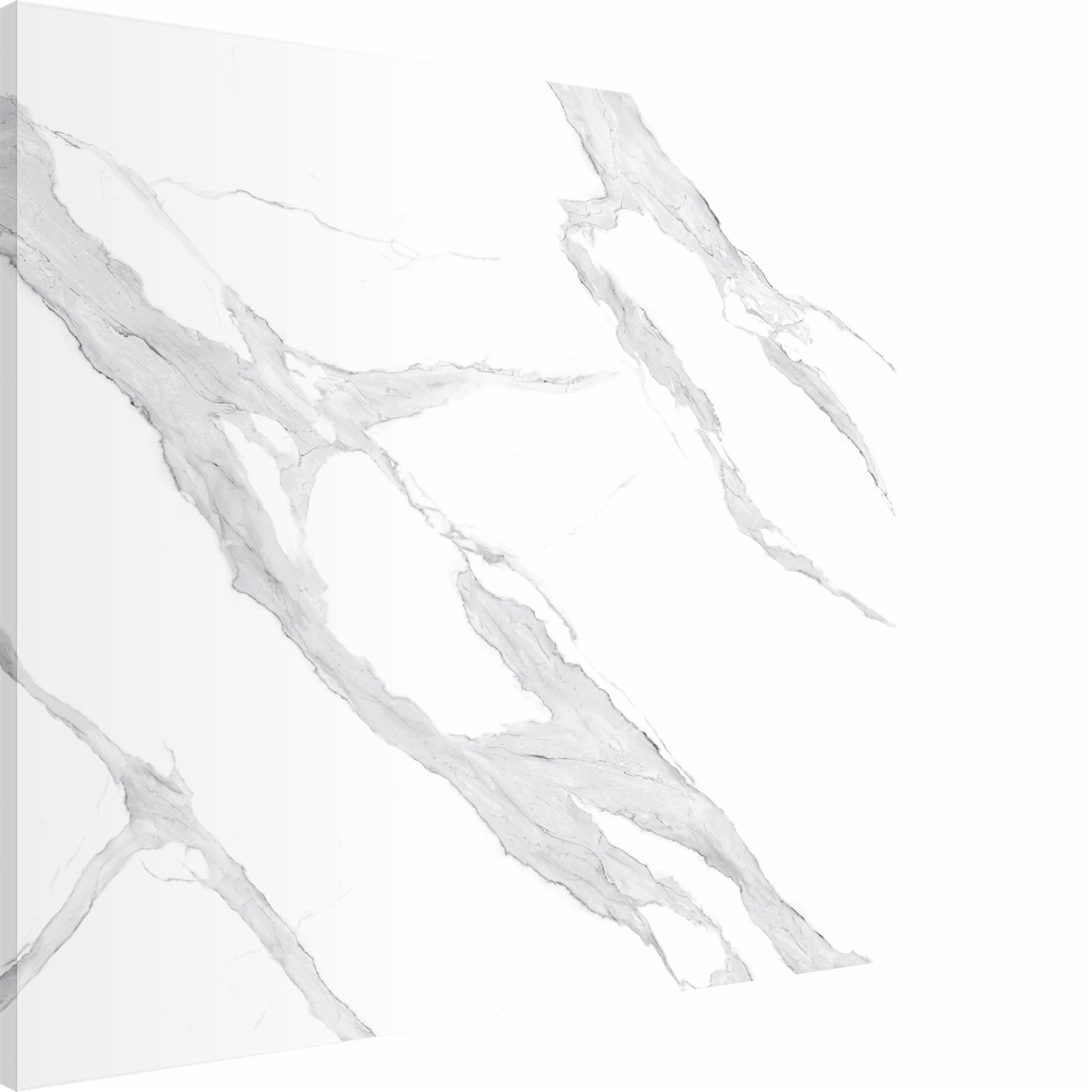 Chic Stone - Look Slab for Contemporary Wall Cladding TQ11-16M342