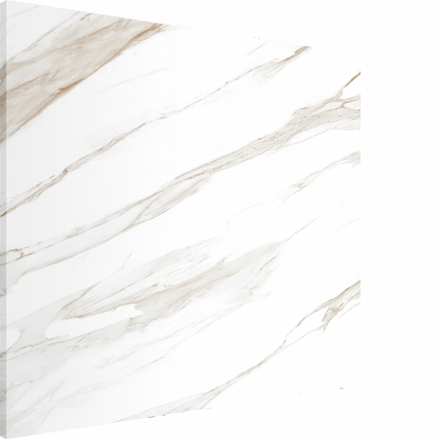 Exquisite White Slab for Upscale Kitchen and Bathroom Surfaces TQ11-16M341