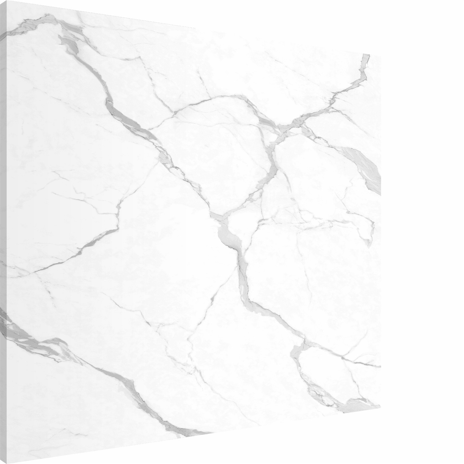 Large - Format White Marble - Look Slab for Luxury Interiors TQ11-16M264