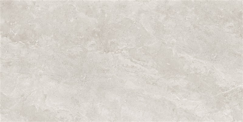 600X1200MM Micro - mold and Fine - carving Porcelain Tile Rustic Matte Finish Wall and Floor Tile TQ02-FG60801