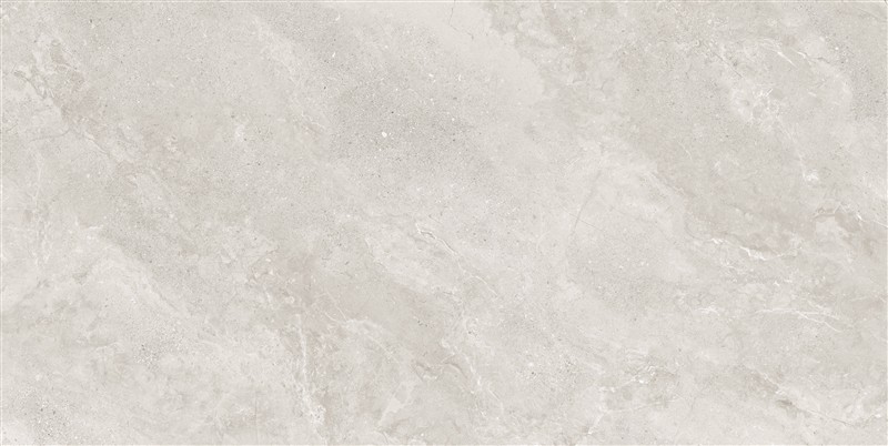600X1200MM Micro - mold and Fine - carving Porcelain Tile Rustic Matte Finish Wall and Floor Tile TQ02-FG60801