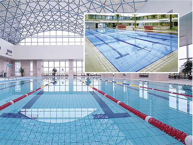 Warm and Inviting 244x244mm & 300x300mm Beige Pool Tiles for Cozy Poolscapes TQ09-2403, TQ09-3003
