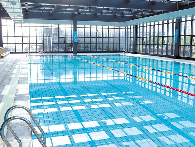 Chic 115x115mm Color - Accented Pool Tiles for Creative Pool Designs (Models: YC8 - 1A, YC9 - 2A, YC8 - 1, YC9 - 2, YC8 - 2A, YC9 - 1A, YC8 - 2, YC9 - 1)
