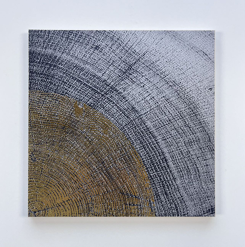 200x200mm Wood - Grain Tree - Ring Gilded Ceramic Tiles - XC202847