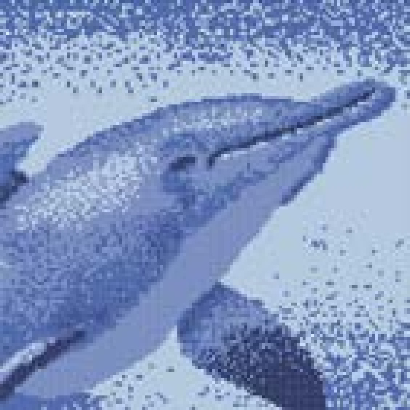 23x23mm Dolphin - Patterned Puzzled Mosaic Tiles (WN30727)