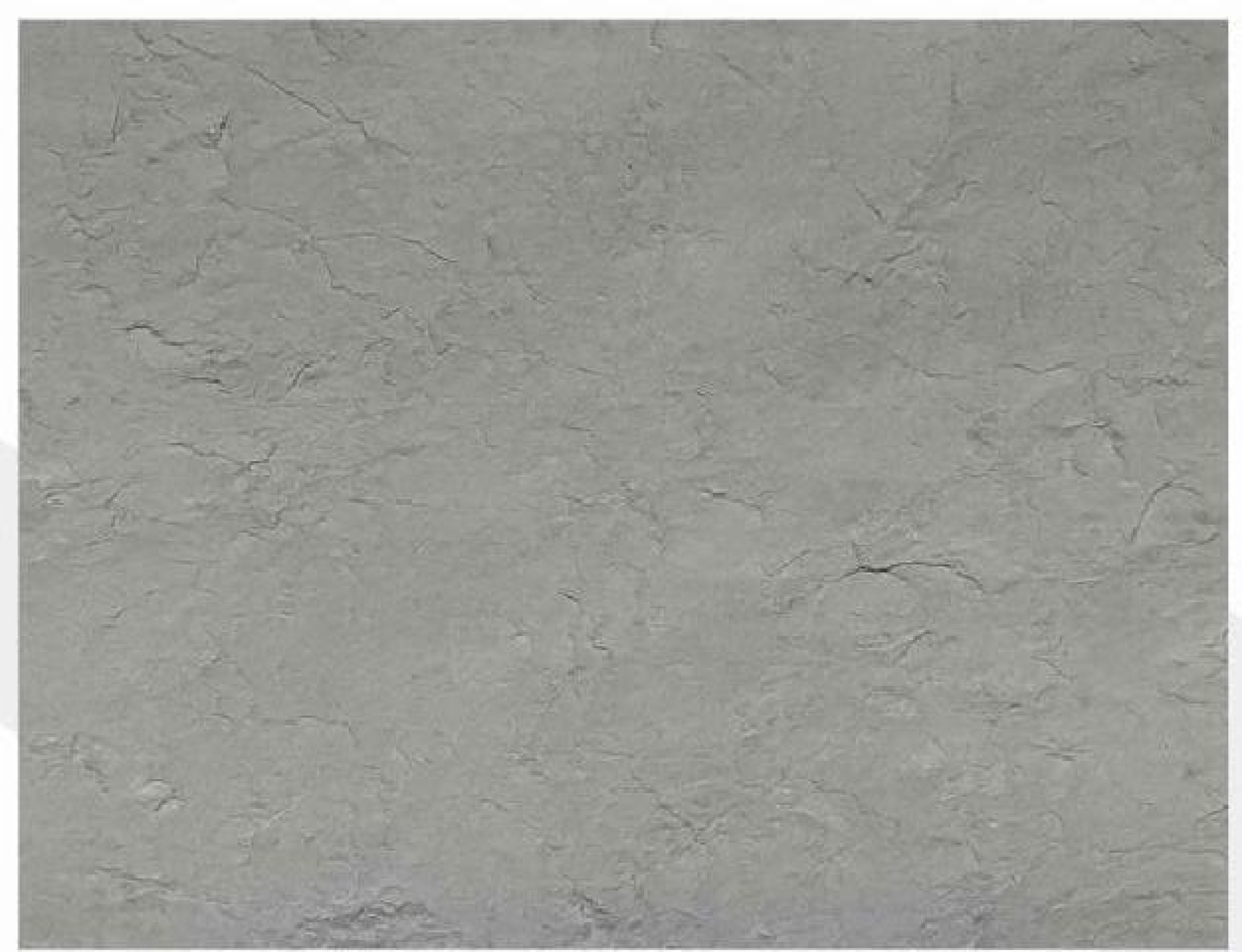 600x300/600x600/600x1200 mm Flexible Slate - Texture Tiles | Models: BY100, BY215, BY135, BY378