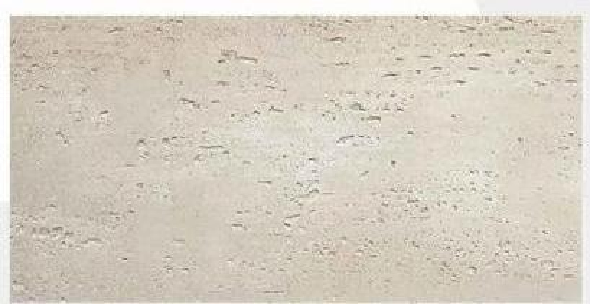 600x300/600x600/600x1200/600x2400 mm Flexible Travertine - Texture Tiles | Models: DS221, DS0871/100, DS1112, Mixed - color DS2
