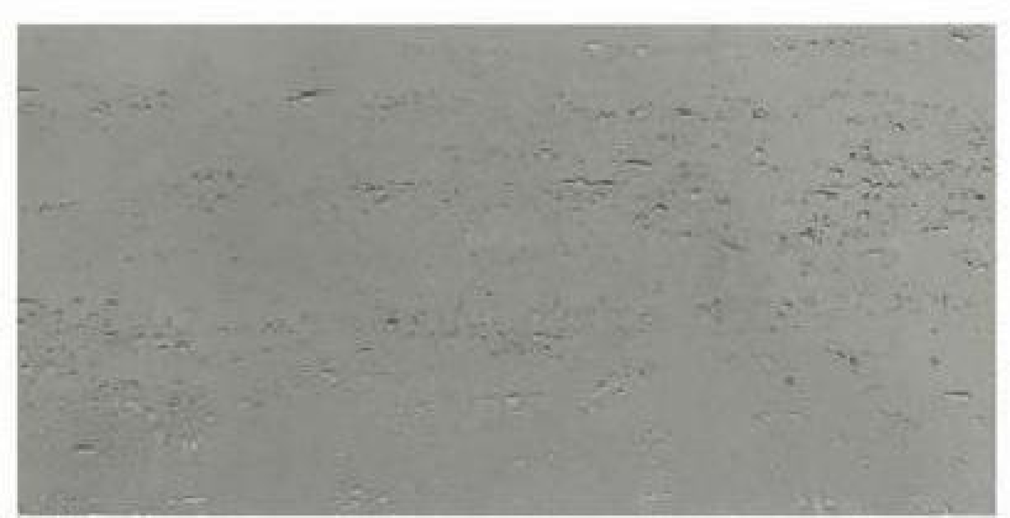 600x300/600x600/600x1200/600x2400 mm Flexible Travertine - Texture Tiles | Models: DS221, DS0871/100, DS1112, Mixed - color DS2