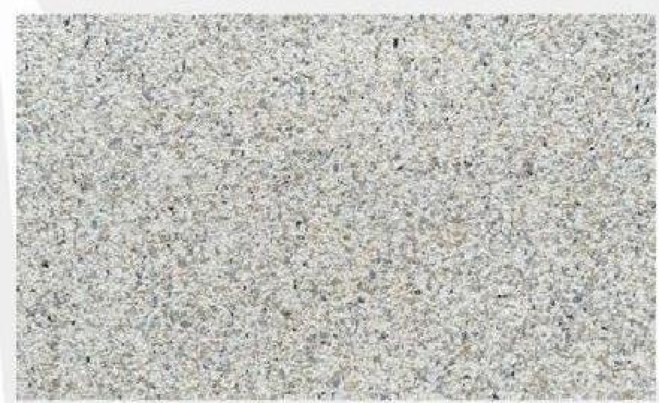 600x300/600x600/600x1200 mm Flexible Soft Stone - Texture Tiles | Models: HG14109, HG14110, HG14134