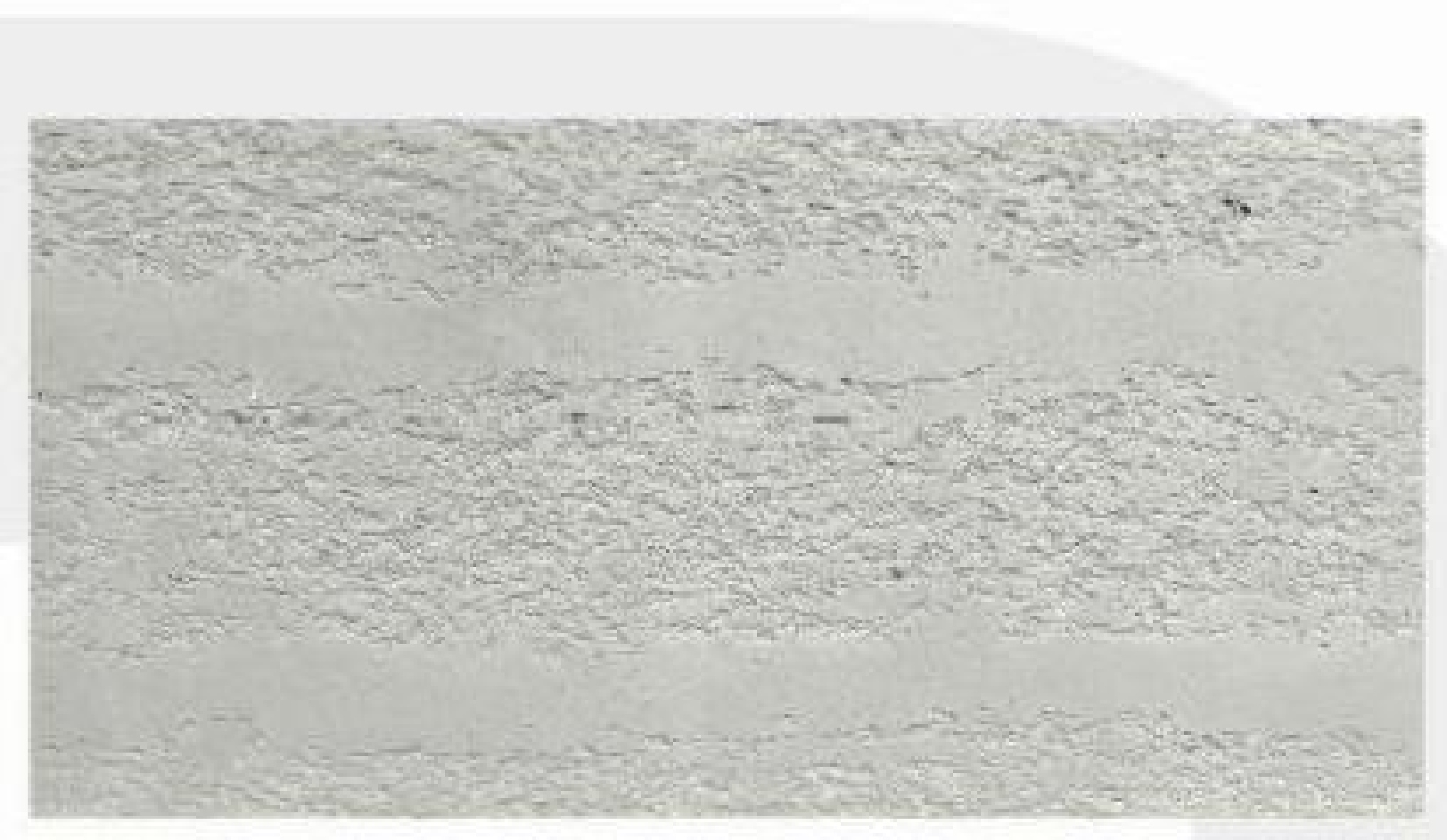 600x300/600x600/600x1200/600x2400 mm Flexible Rammed Earth - Texture Tiles | Models: HT0152, HT0622, HT1093, HT115