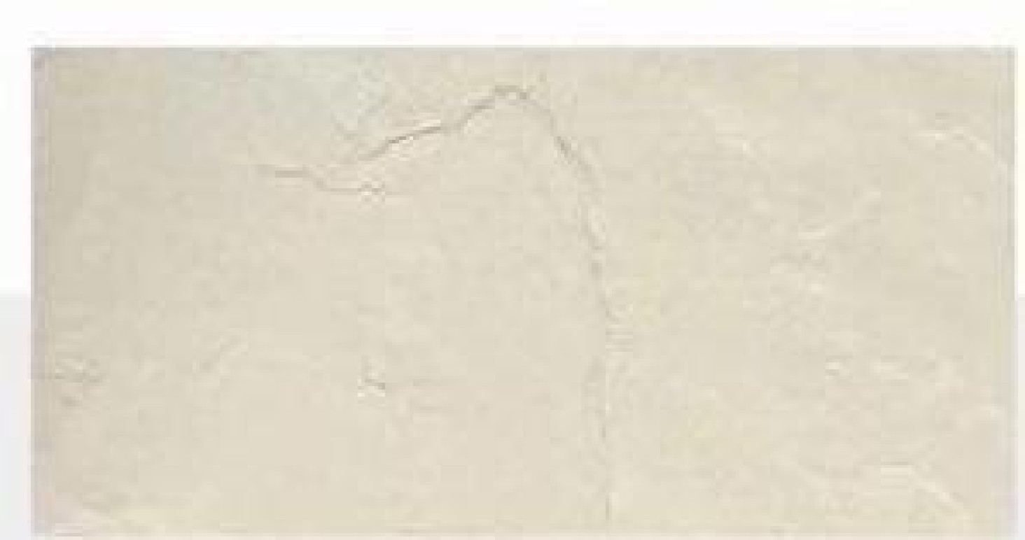 Flexible Stone - Look Tiles with Natural Texture | Ideal for Interior & Exterior Decor