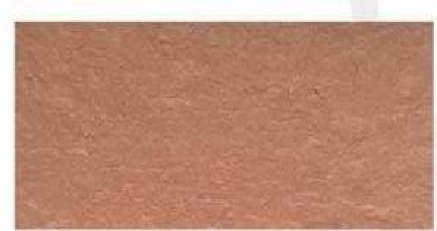 Flexible Stone - Look Tiles with Natural Texture | Ideal for Interior & Exterior Decor