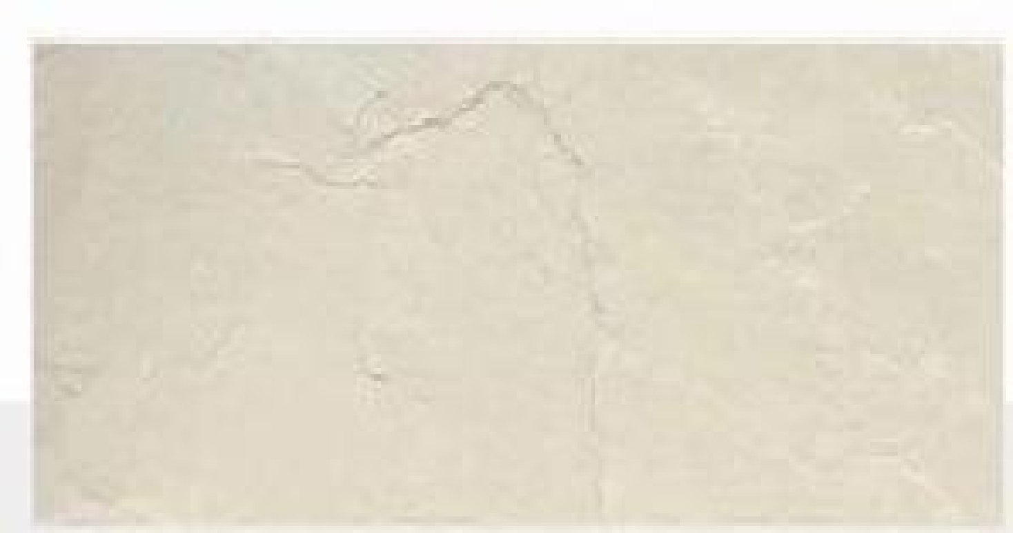 Flexible Stone - Look Tiles with Natural Texture | Ideal for Interior & Exterior Decor