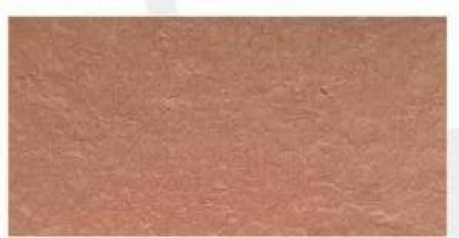 Flexible Stone - Look Tiles with Natural Texture | Ideal for Interior & Exterior Decor