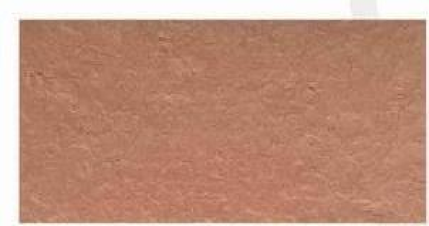 Flexible Stone - Look Tiles with Natural Texture | Ideal for Interior & Exterior Decor