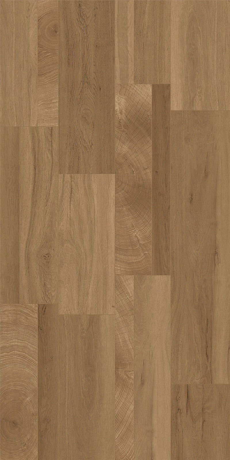 600×1200mm Wood - Grain Tile with Annual - Ring Design, Model NO:126141