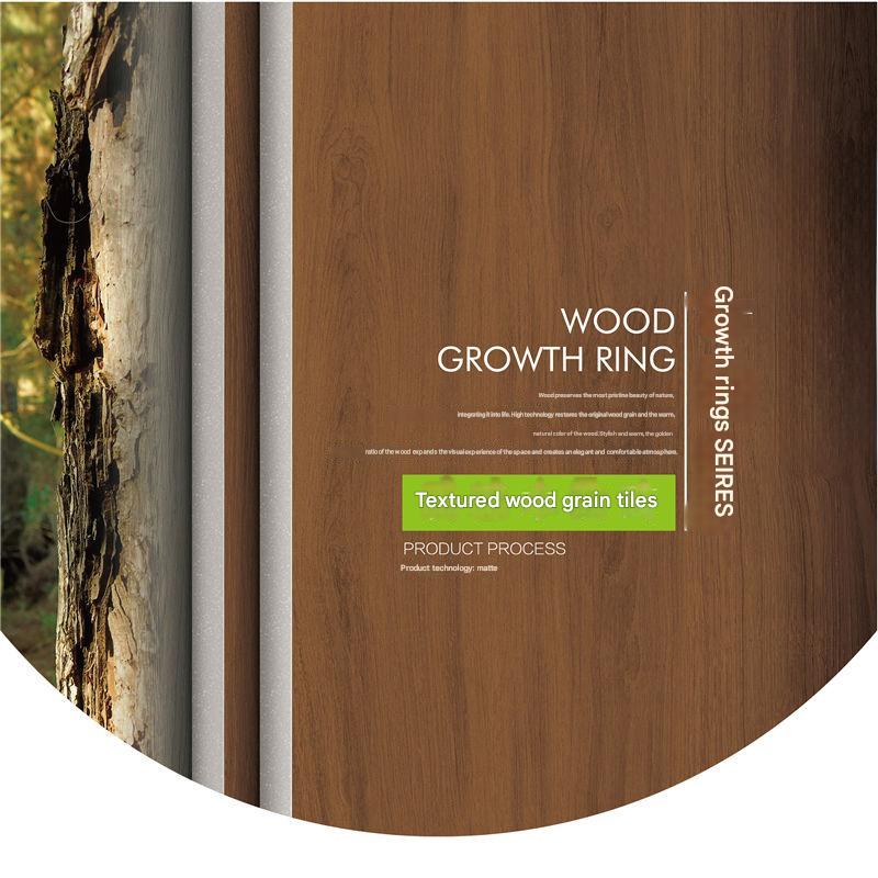 600×1200mm Matte Wood - Grain Tile, Model NO:126146
