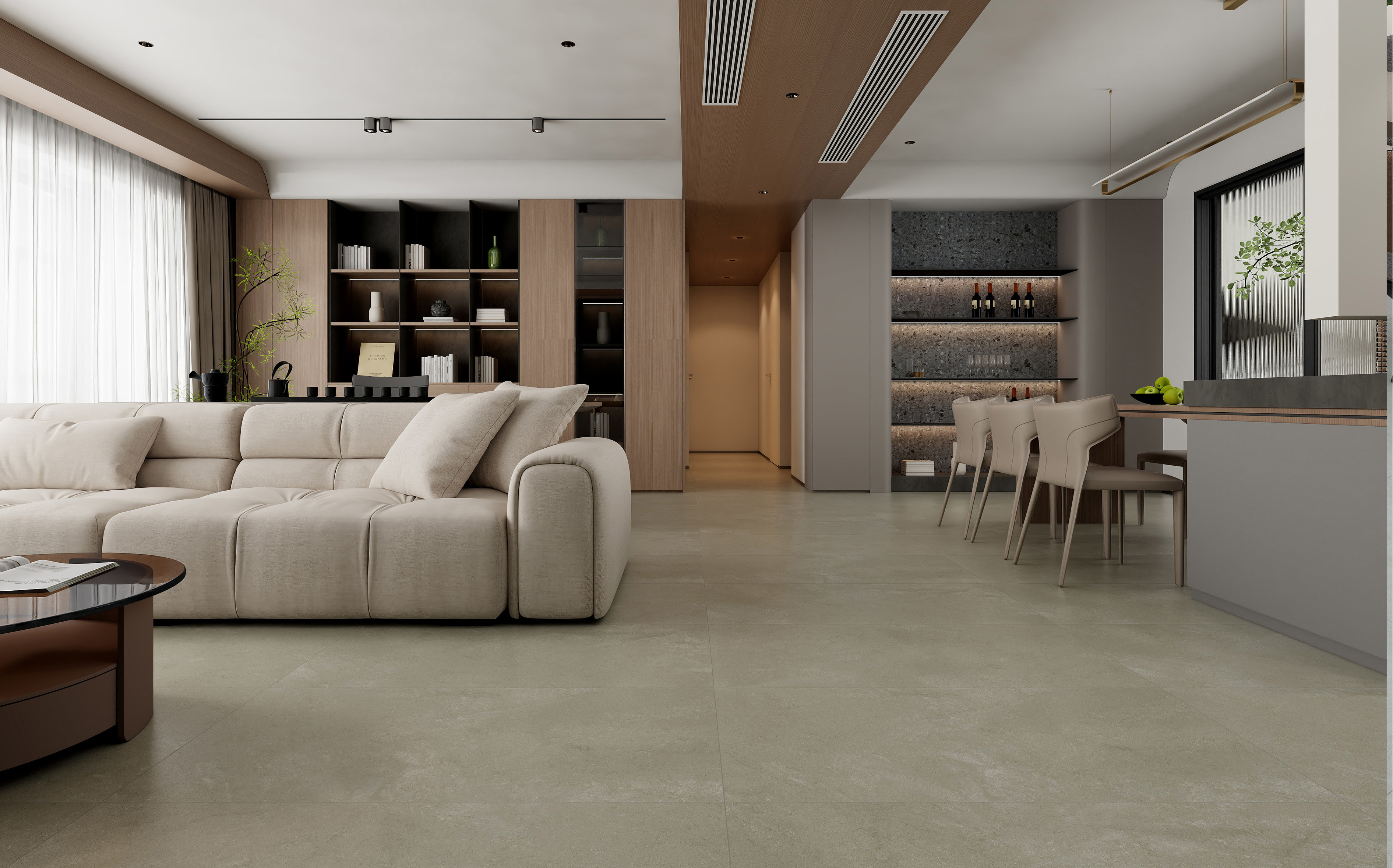 60×120cm Light Gray Matt Tile, Model: TQ01 - RS - 1230RM