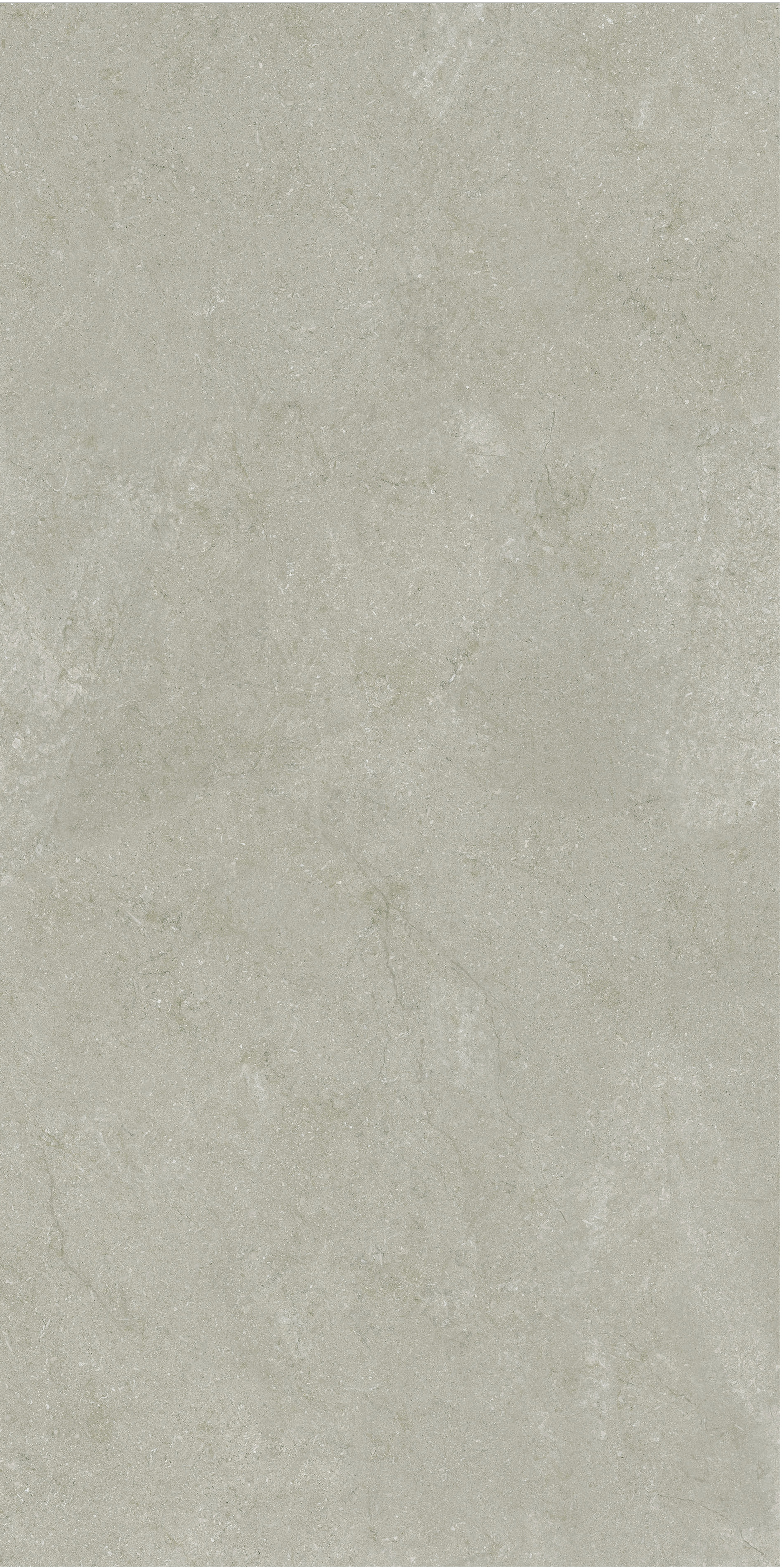 60×120cm Light Gray Matt Tile, Model: TQ01 - RS - 1230RM