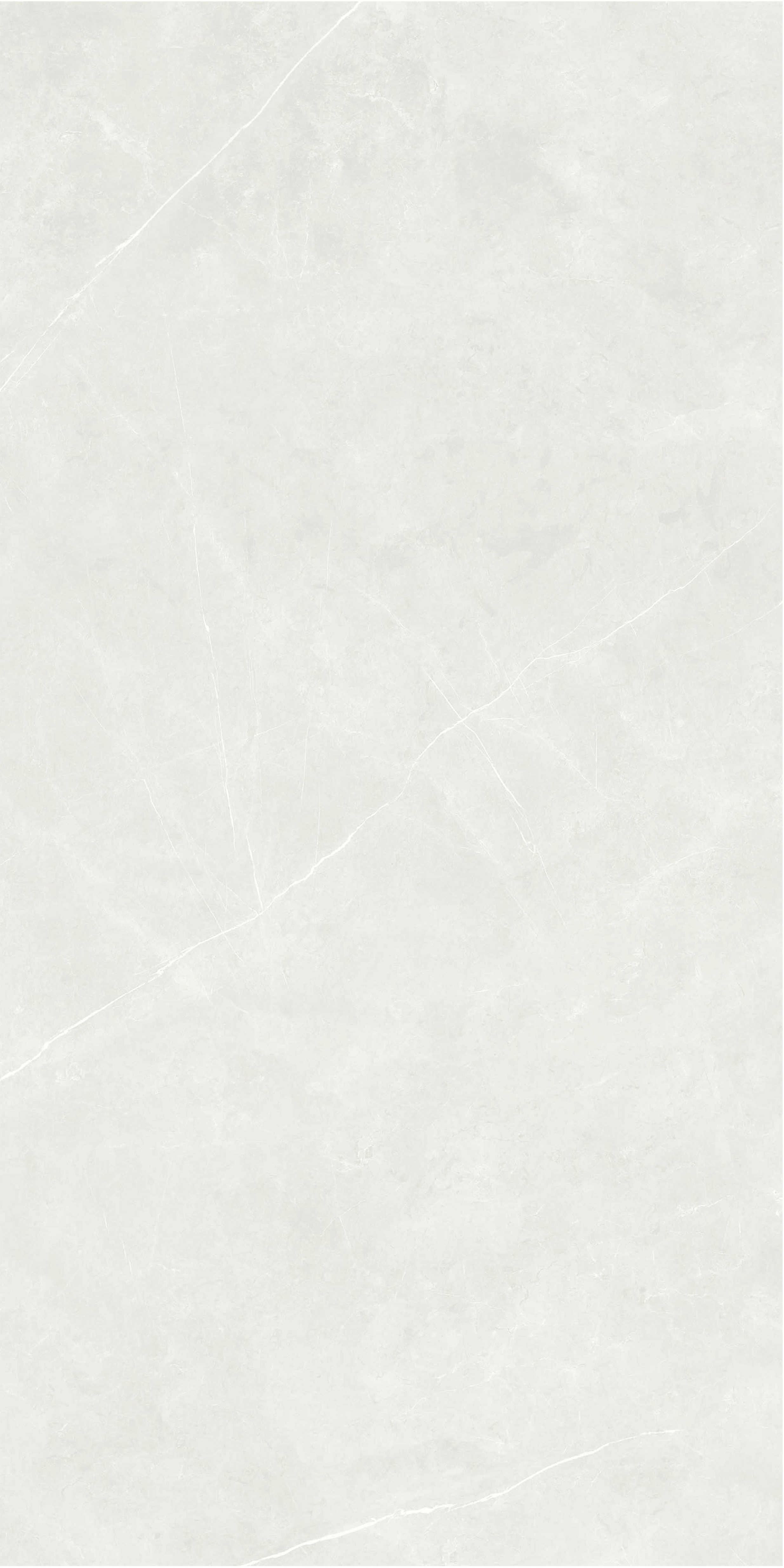 60×120cm Light Gray Matt Tile, Model: TQ01 - RS - 003RM