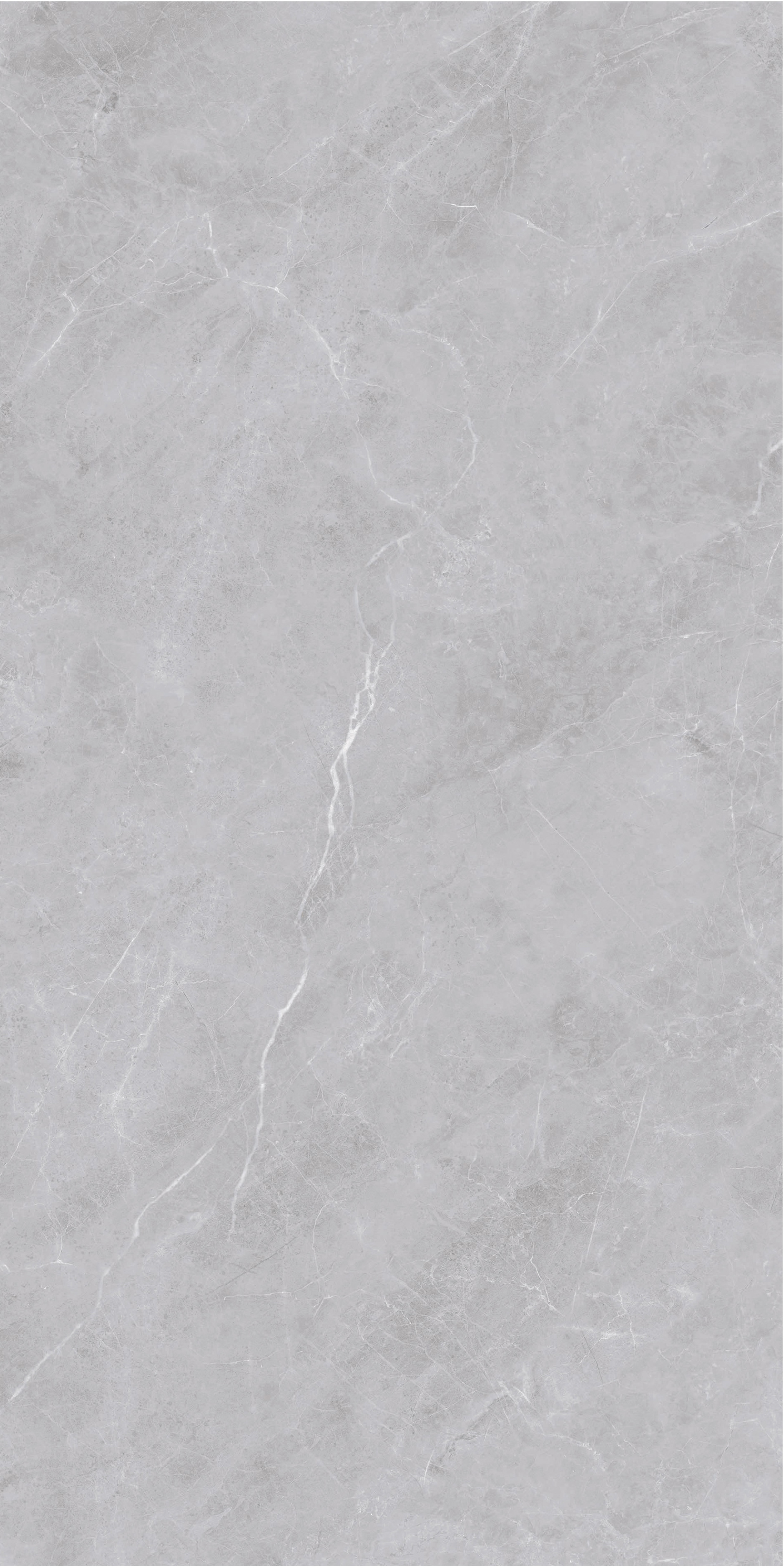 60×120cm Gray Marble - Effect Matt Tile, Italian Design, Model: TQ01 - RS - 61215RM