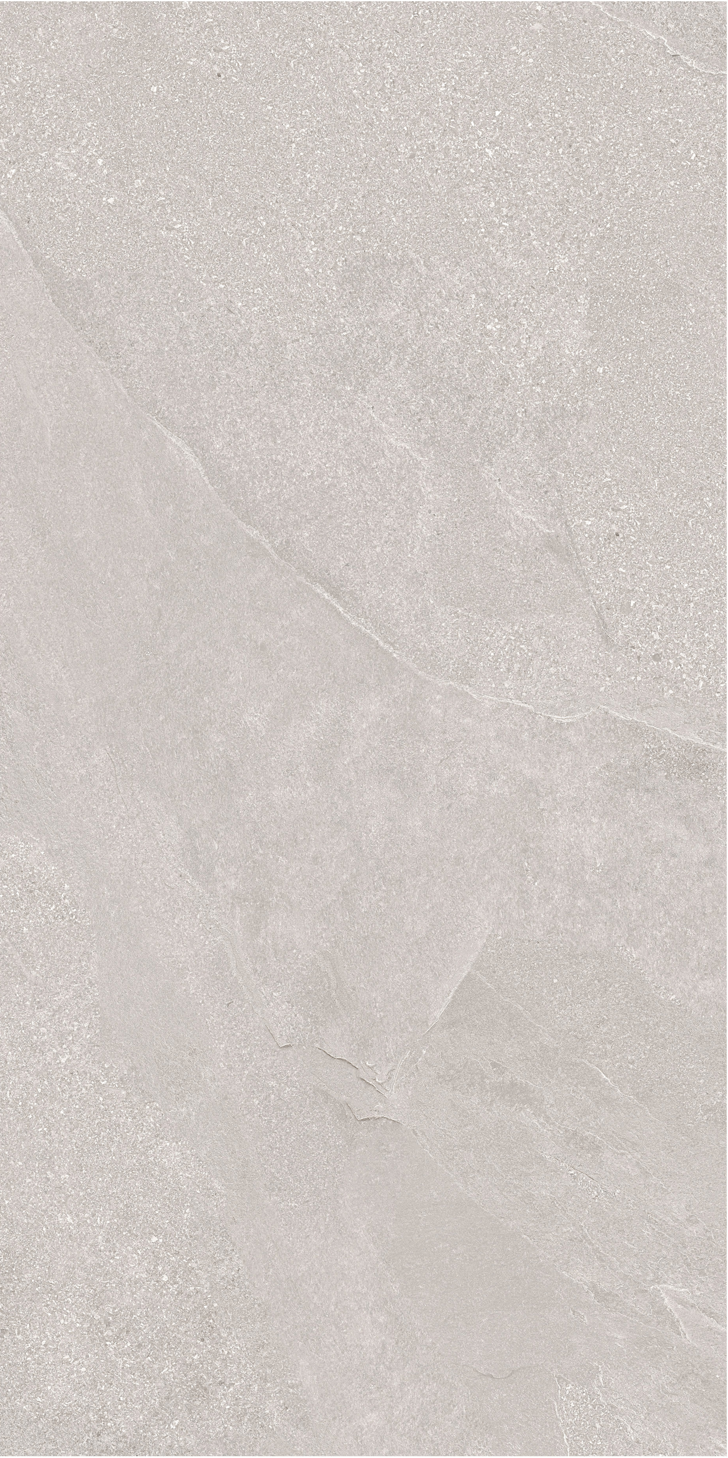 60×120cm Light Gray Matt Tile, Italian Design, Model: TQ01 - RS - 61216RM