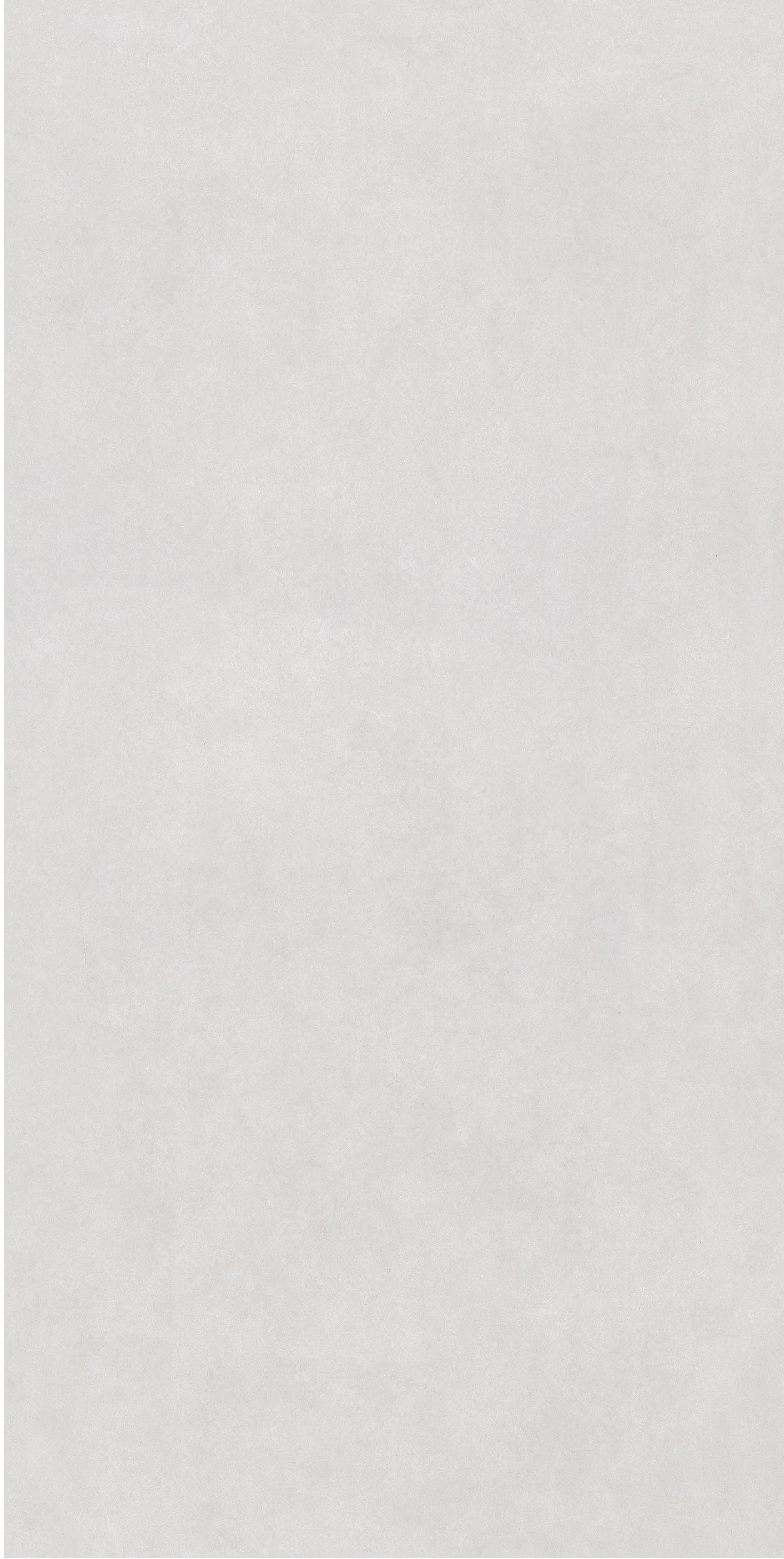 60x120 Matt Finish Light Grey Ceramic Tiles for Living Room Kitchen Interior Decoration TQ01RS - 61230RM