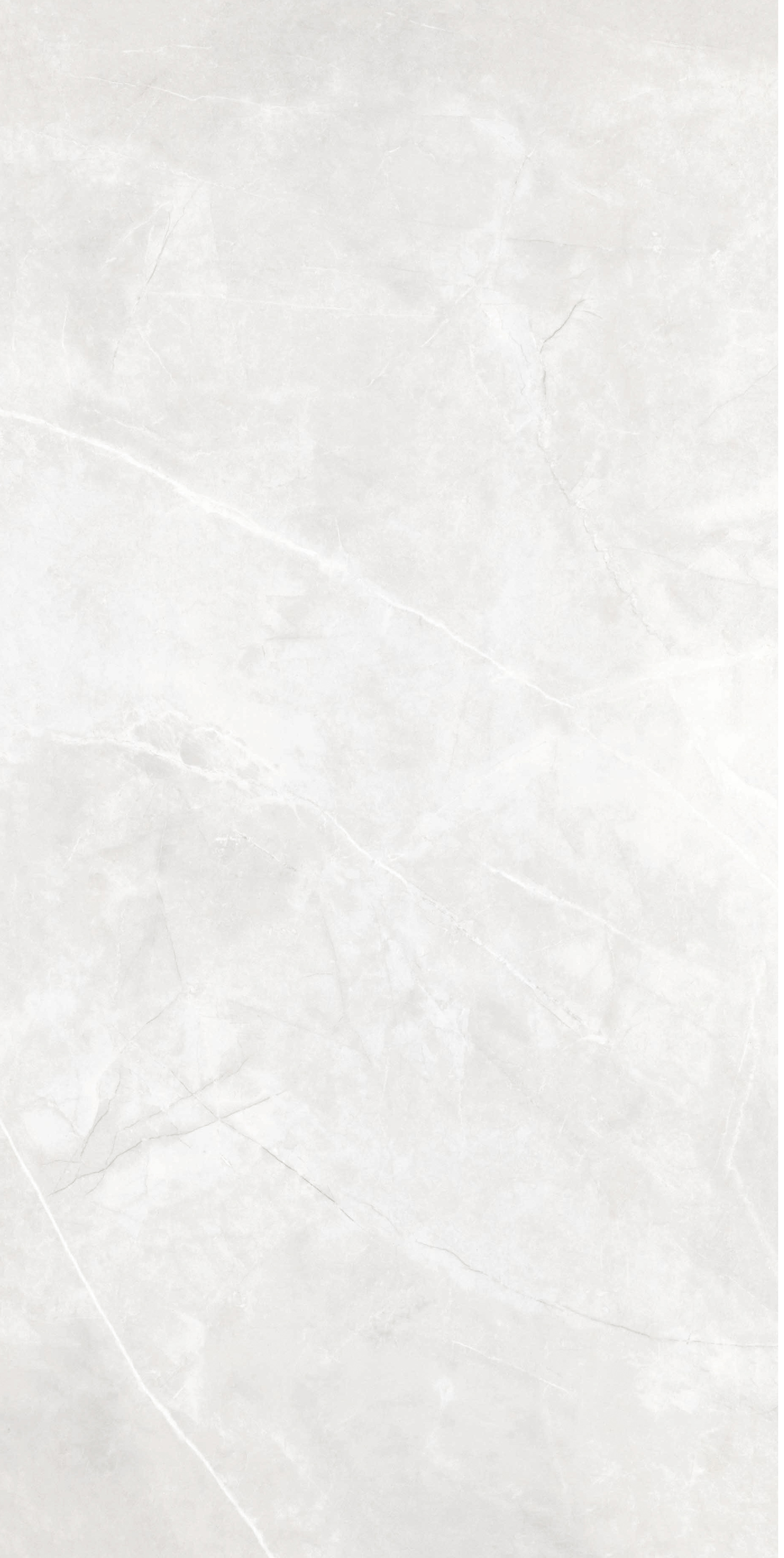 60x120 Matt Finish Light White Marble - Effect Ceramic Tiles for Living Room Bathroom Interior Decor TQ01RS - 61234RM