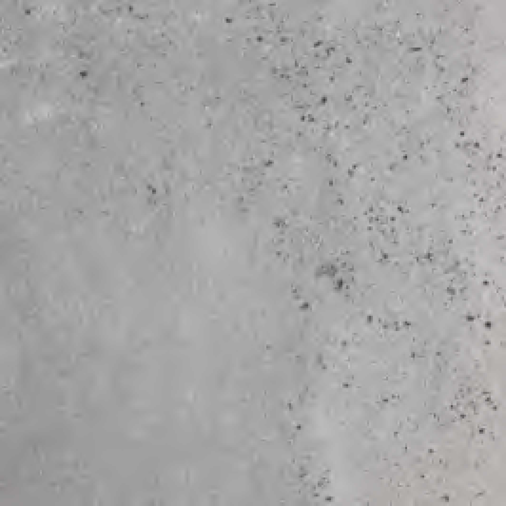 600x600mm Matt Finish Grey Cement - Look Ceramic Tiles for Kitchen Floor Interior Decor TQ14 - 1SP66H09W