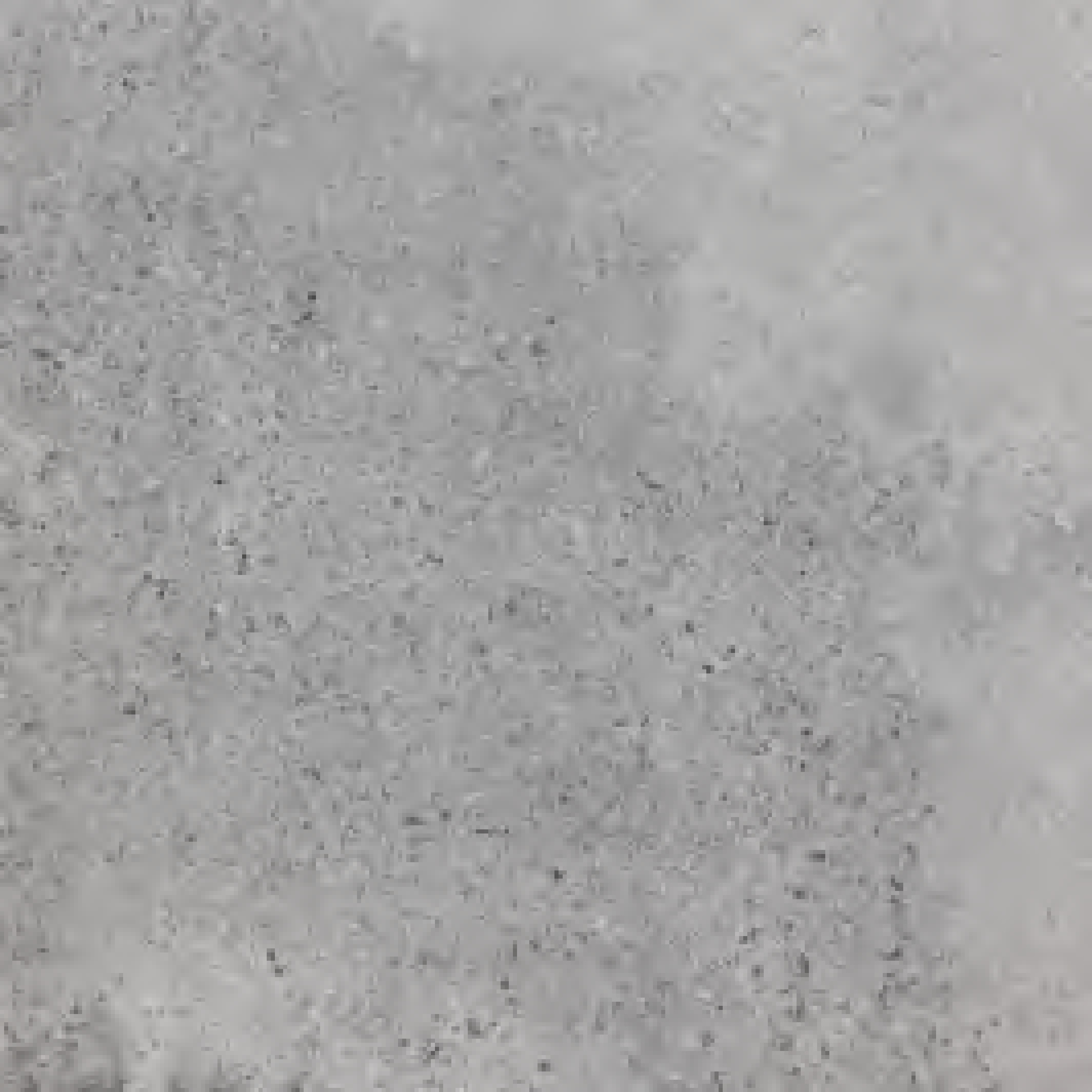 600x600mm Matt Finish Grey Cement - Look Ceramic Tiles for Kitchen Floor Interior Decor TQ14 - 1SP66H09W