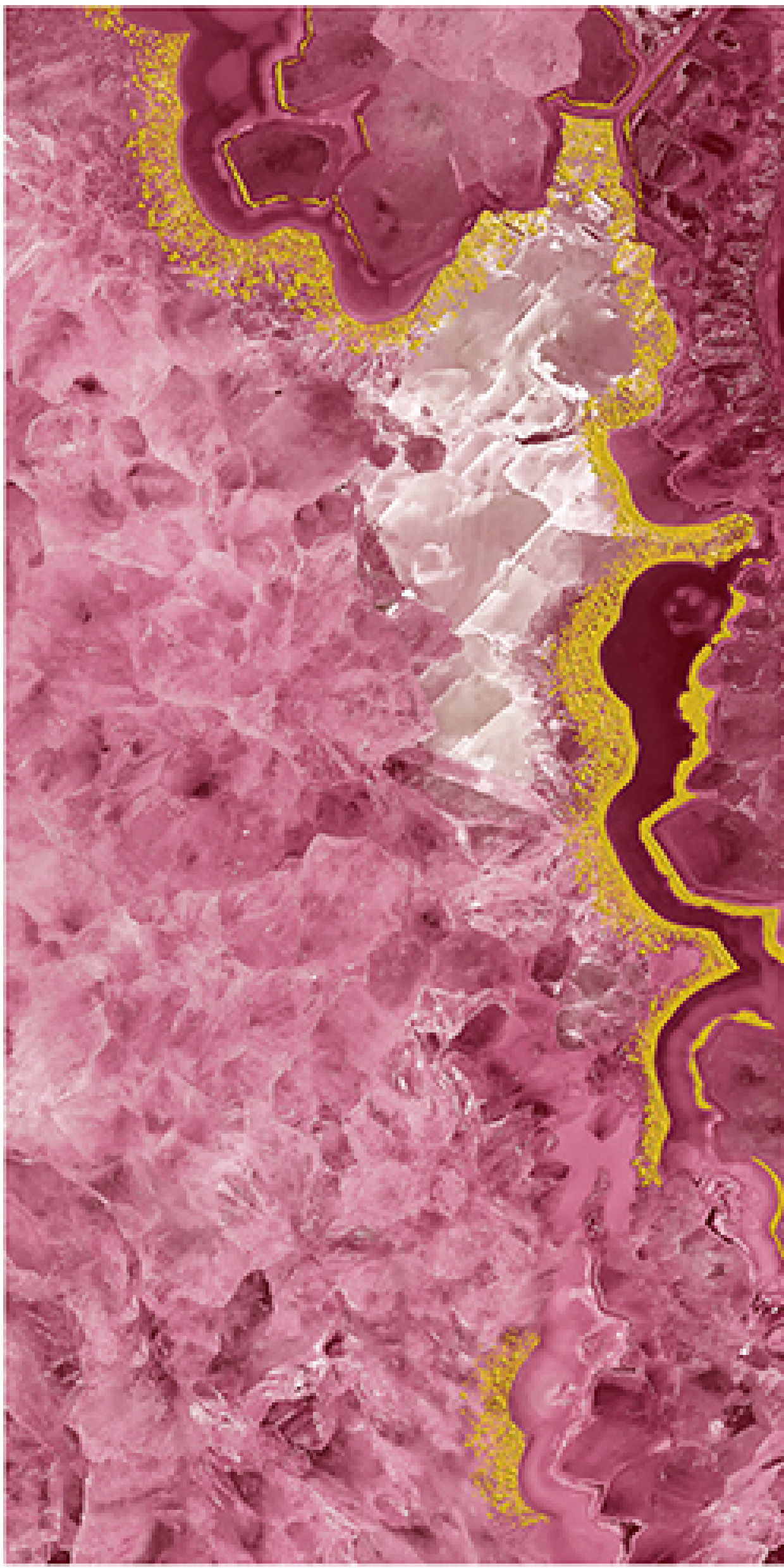 600x1200mm Pink - Gold Marble - Patterned Ceramic Tiles for Bathroom Decor TQ16 - 3CS60120 - 2509 - 2510