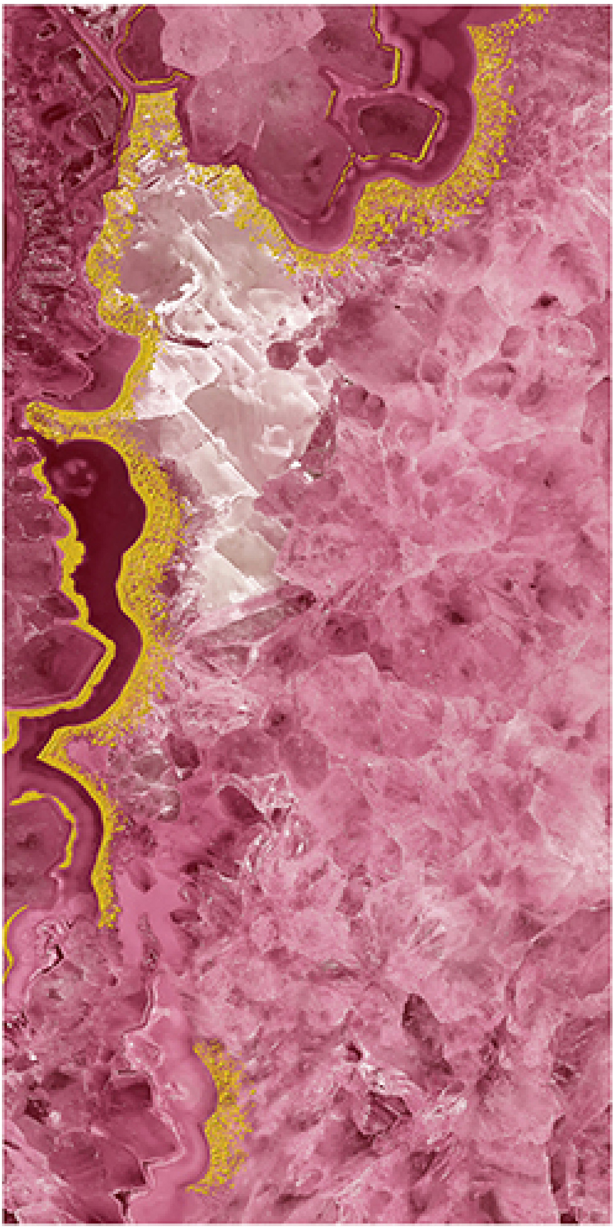 600x1200mm Pink - Gold Marble - Patterned Ceramic Tiles for Bathroom Decor TQ16 - 3CS60120 - 2509 - 2510