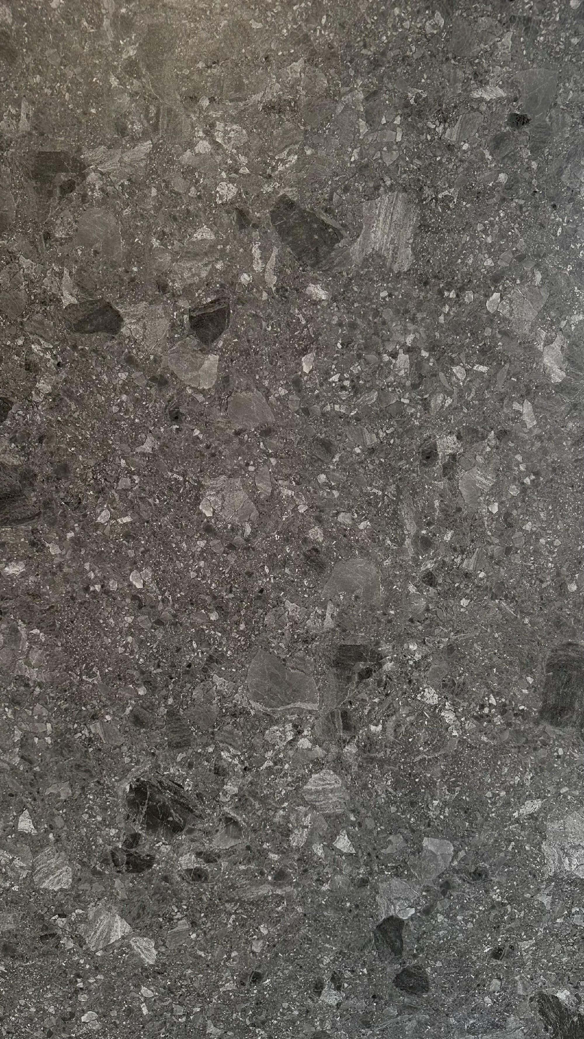 900x1800mm Dark Grey Terrazzo - Like Sintered Stone Tiles for Living Rooms TQ08 - 9189668Y