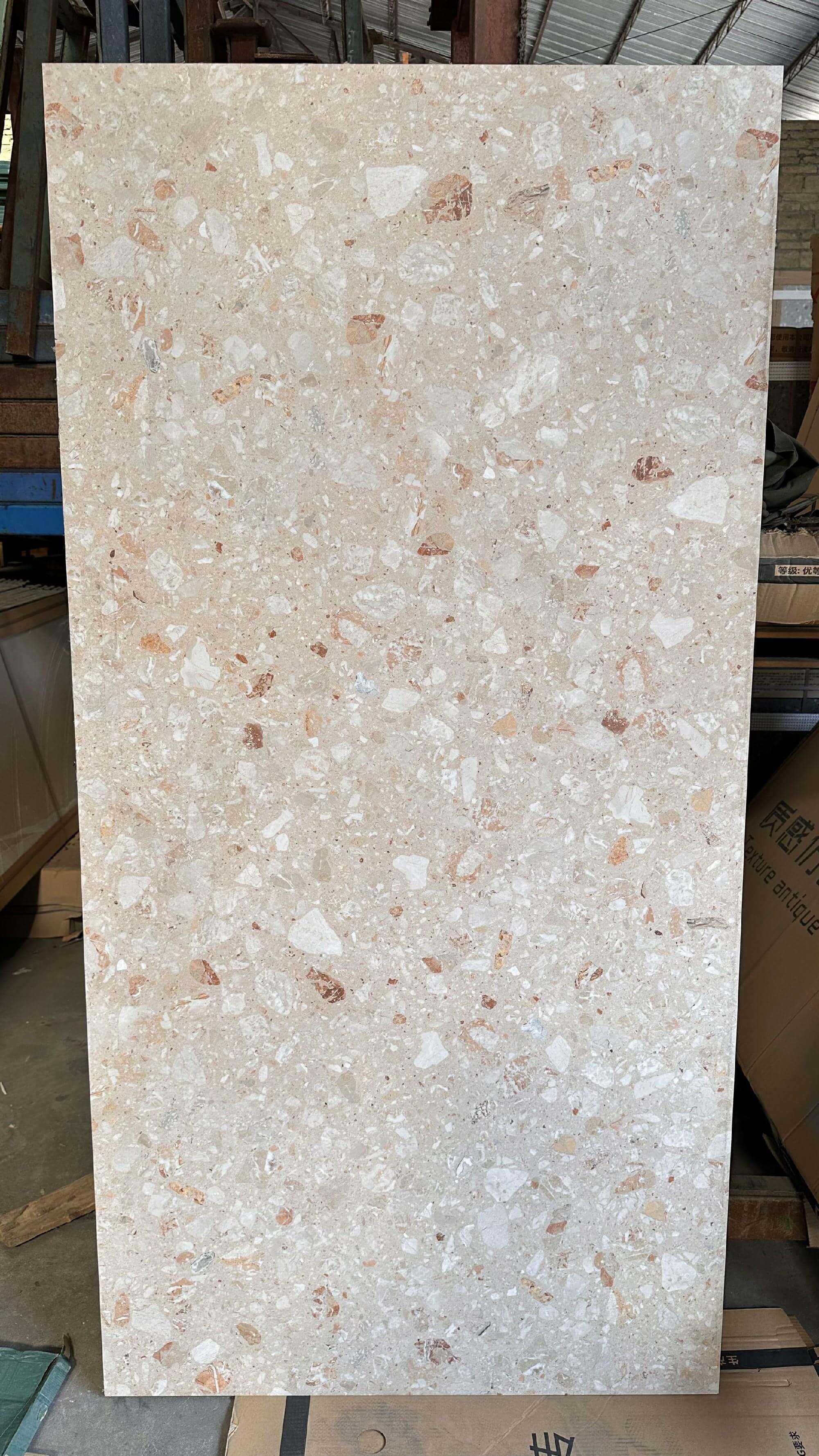 900x1800mm Beige Terrazzo - Like Sintered Stone Tiles for Living Rooms TQ08 - 9189670Y