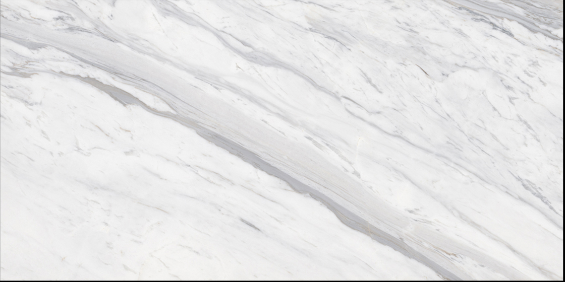 600x1200mm  White Marble - Look Tiles for Luxury Interior Spaces TQ32 - TYS - dz010