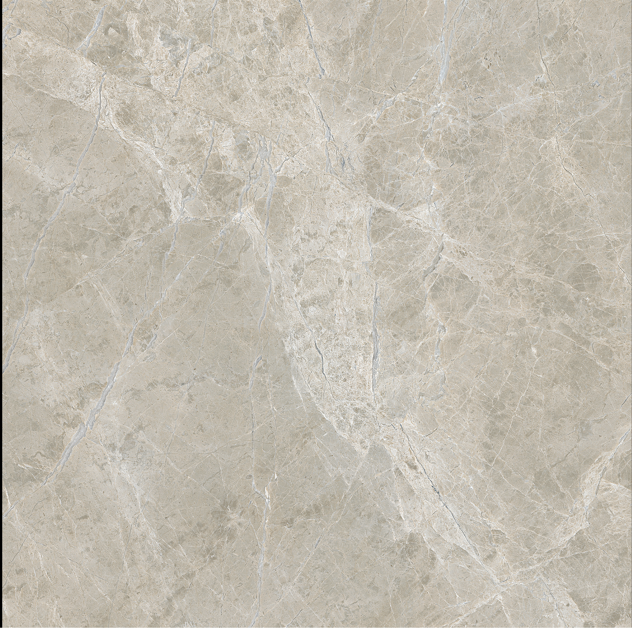 All Sizes Light Grey Marble - Look Tiles for Modern Interior Spaces TQ32 - TYS - dz022