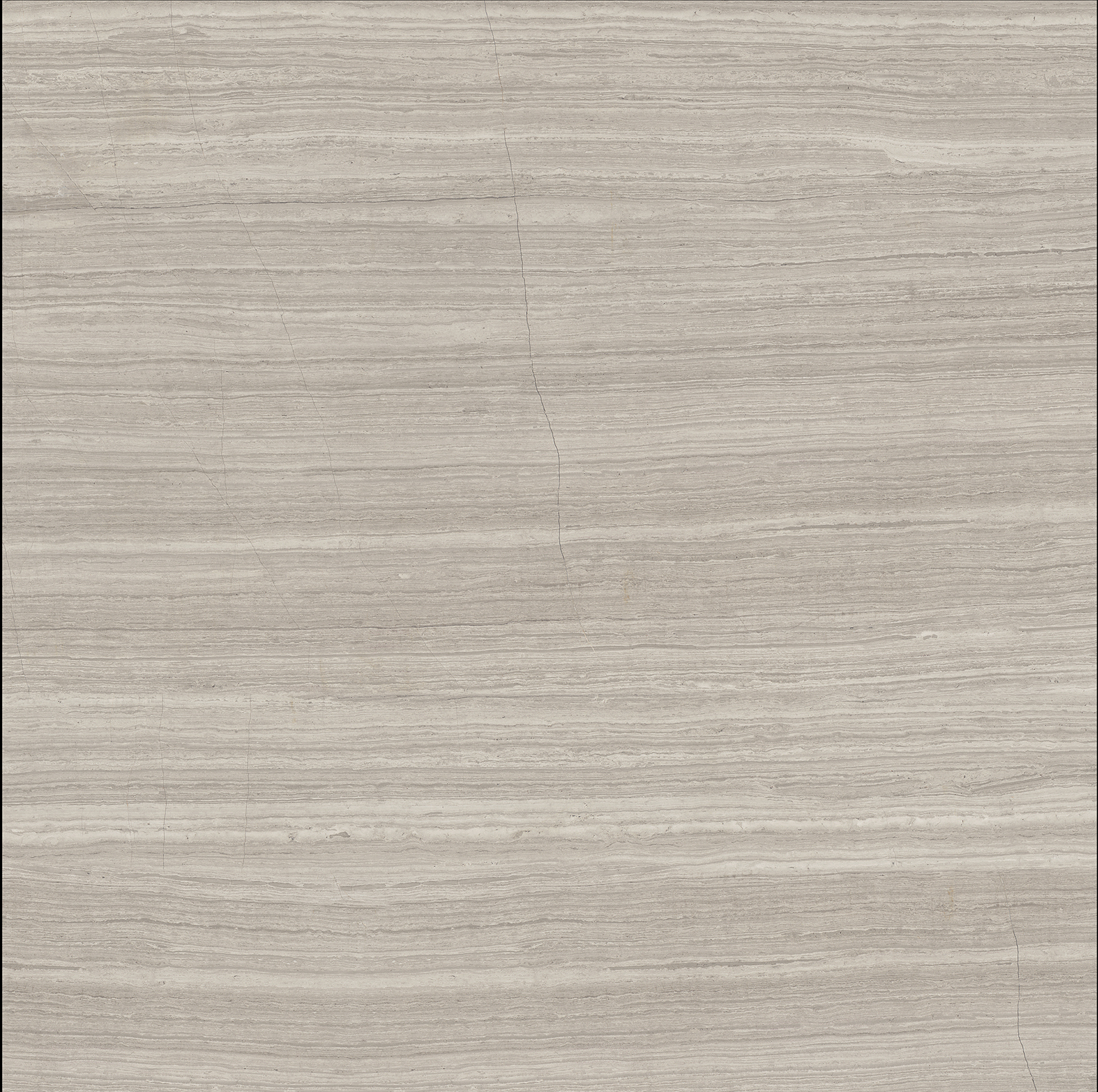 All Sizes Light Grey Wood - Look Tiles for Elegant Interior Spaces TQ32 - TYS - dz028