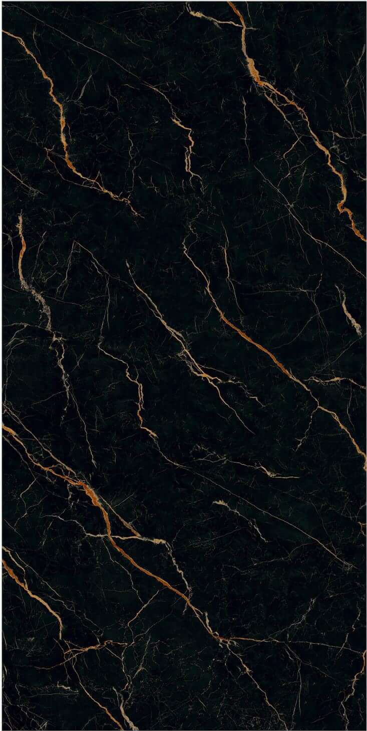 Intricate Golden Vein Black Sintered Tile for High-End Interiors TQ35-JQF163220X138