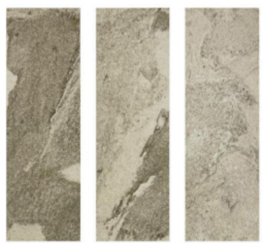 Beige Stone Look Bali Style Pool Tile for Luxury Outdoor Pools and Sukabumi Look Alternatives TQ37-66M13