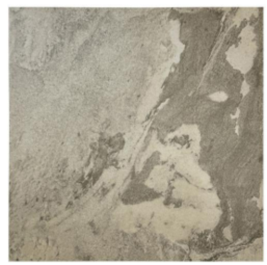 Beige Stone Look Bali Style Pool Tile for Luxury Resorts and Sukabumi Look Pool Alternatives TQ37-66113