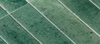 Vertical Glaze Tiles Collection TQ43-PC062402538